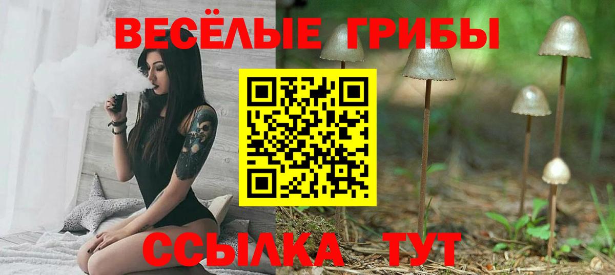 Героин Дмитров