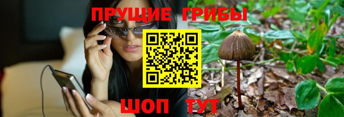 Галлюциногенные грибы ЛСД Дмитров
